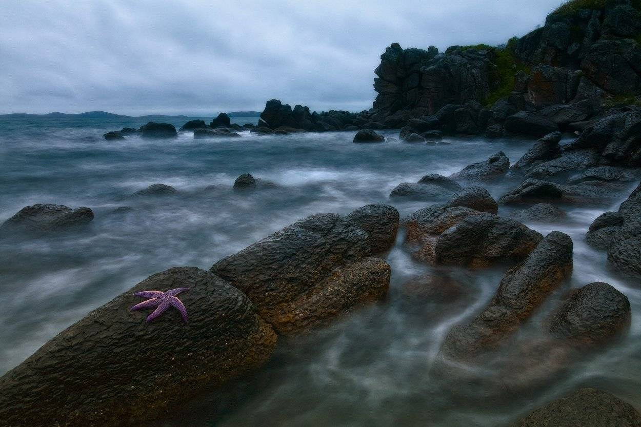 вечер, море, морская звезда, скалы, камни, Андрей Кровлин