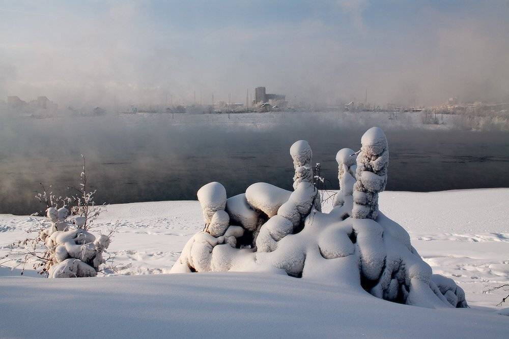 , Николай Морский