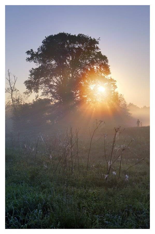 истра, рассвет, солнце, утро, Денис Сорокин