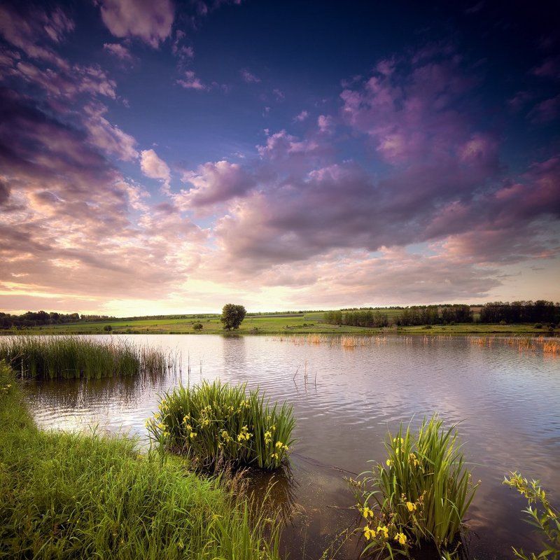 *** фото превью