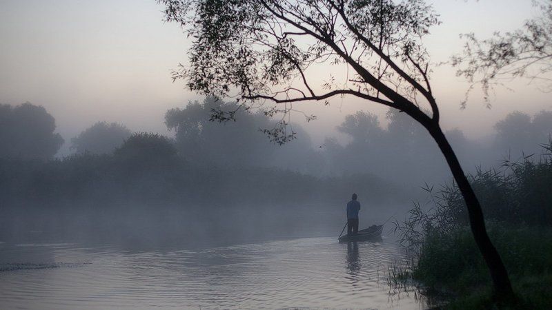 утро, туман, река Печенежский туман фото превью