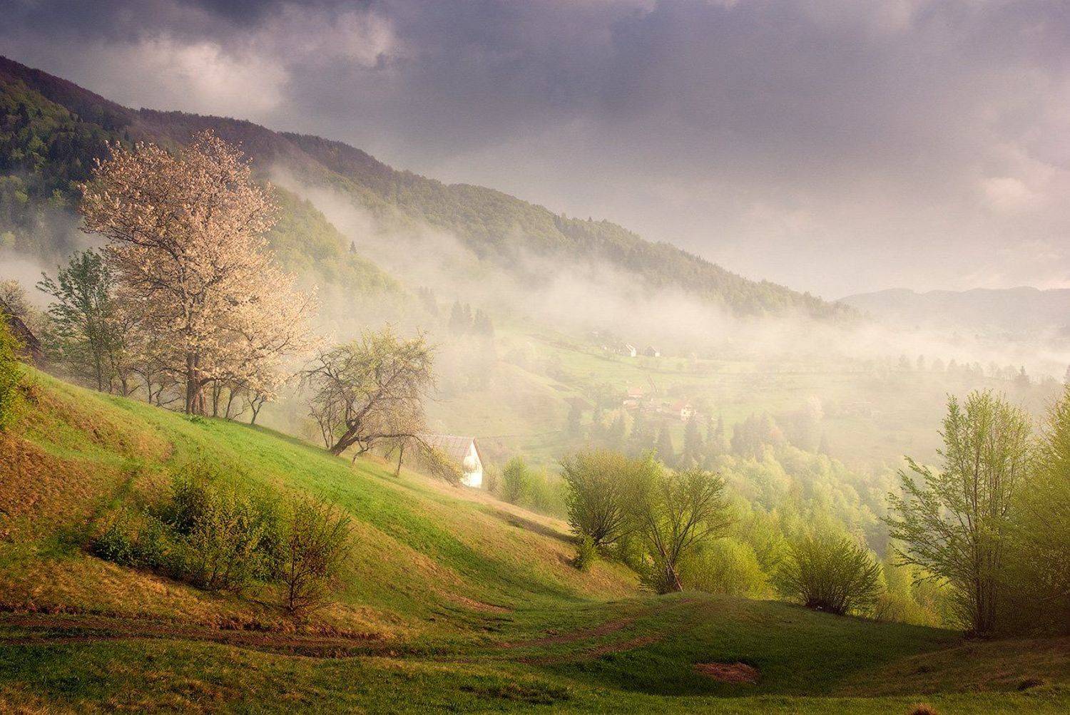 карпаты, весна, Коржонов Даниил