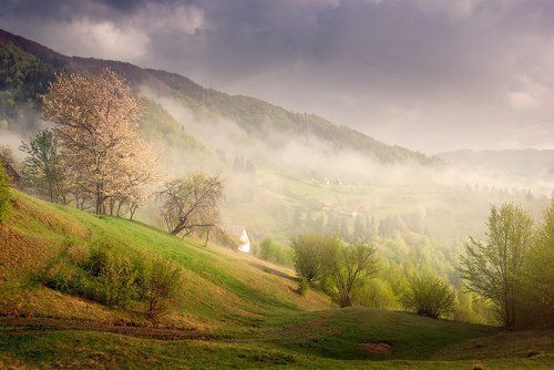 После грозы