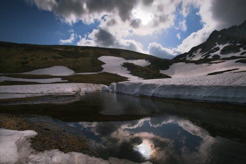 Псенодах майский