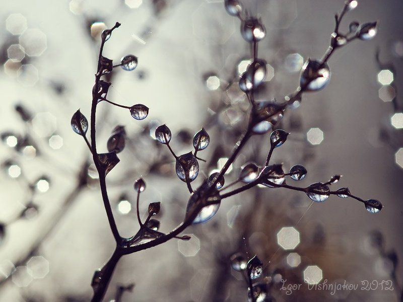 *** фото превью