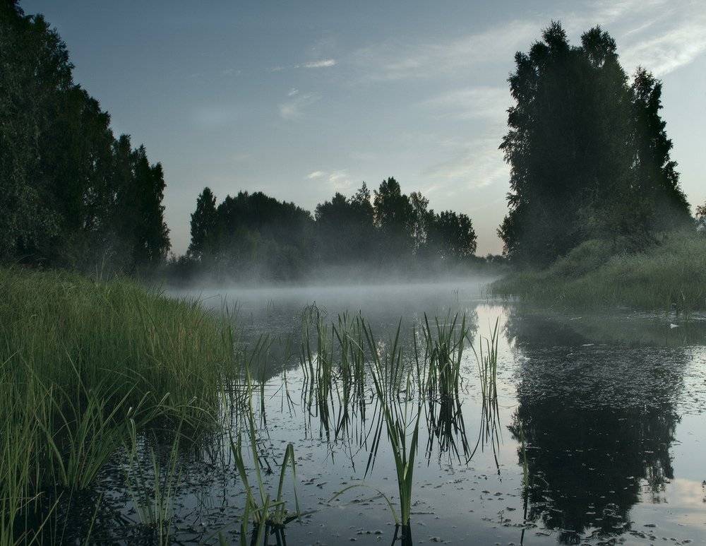 , Николай Морский