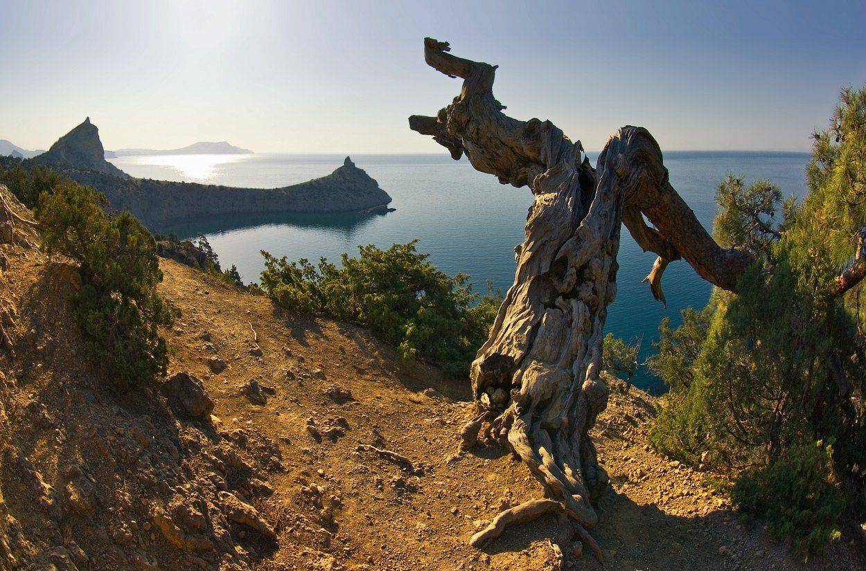 , Игорь Мелекесцев