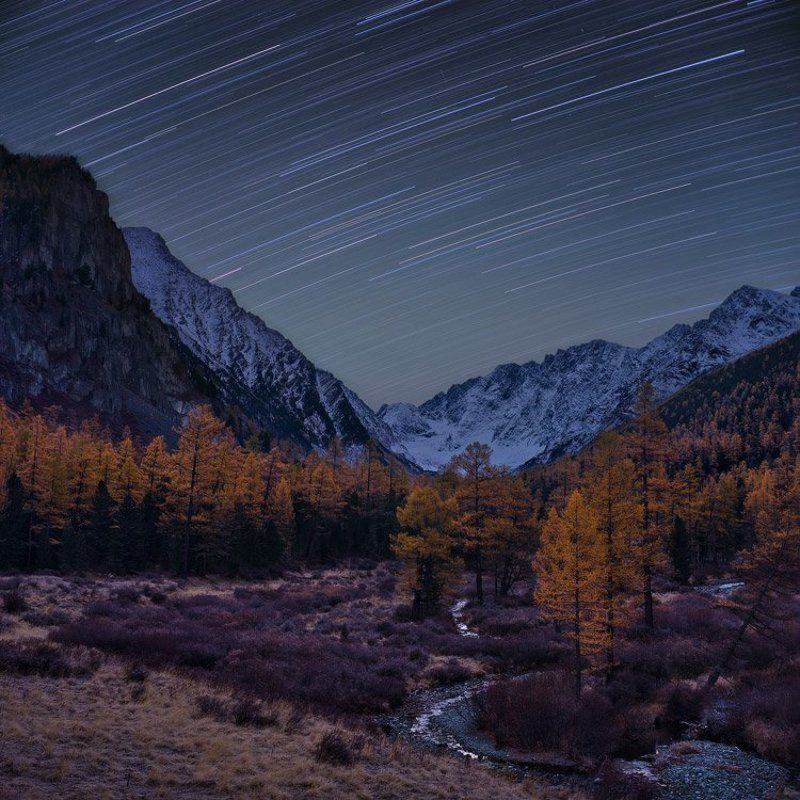 алтай, куйгук, altay, kuyguk Падали звёзды фото превью