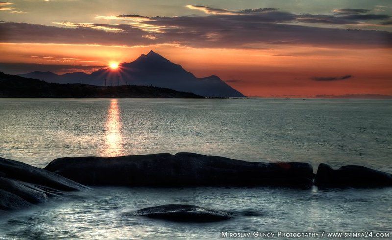 Sitonia фото превью