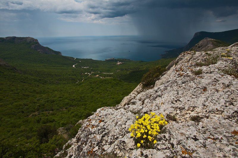 крым, ласпи Перед дождичком в четверг фото превью