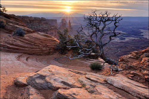 Каньонлэндс