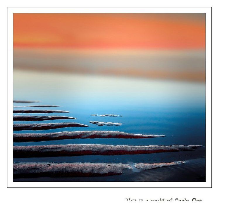 This is a world of Paulo Flop фото превью