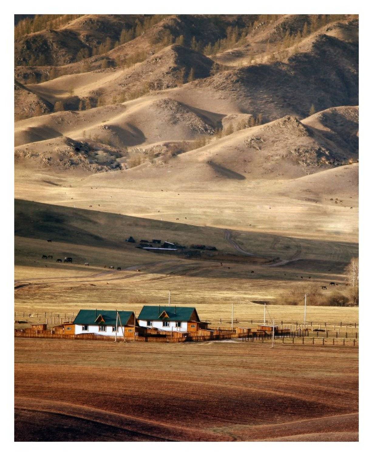 , Галина Хвостенко