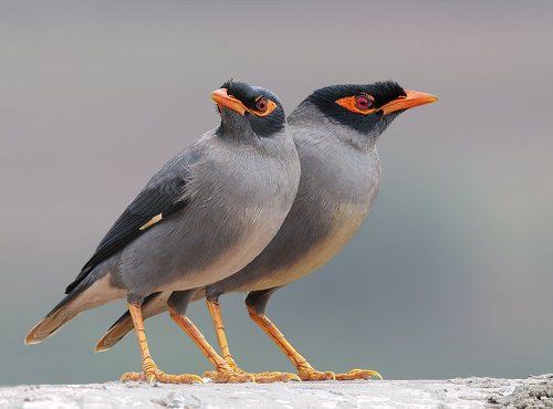А в глазах лёд, ...а в душе тоска