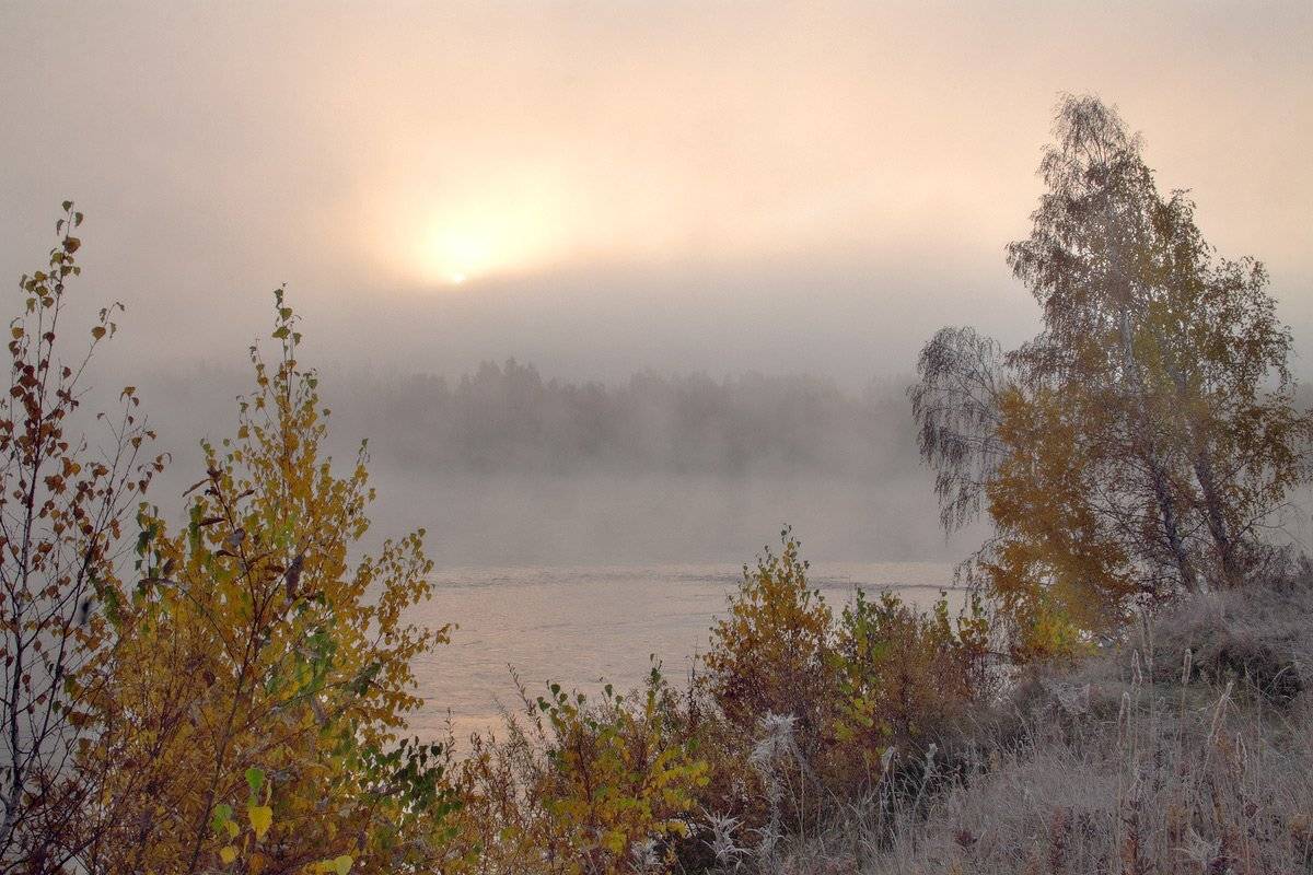 , Николай Морский