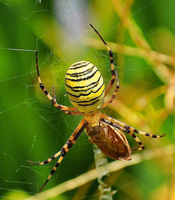 , Игорь Олейник