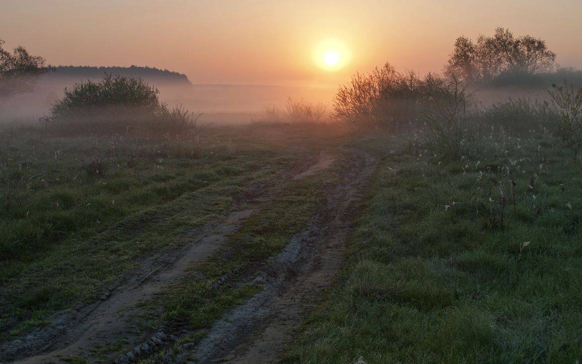 , Володимир Карчевський