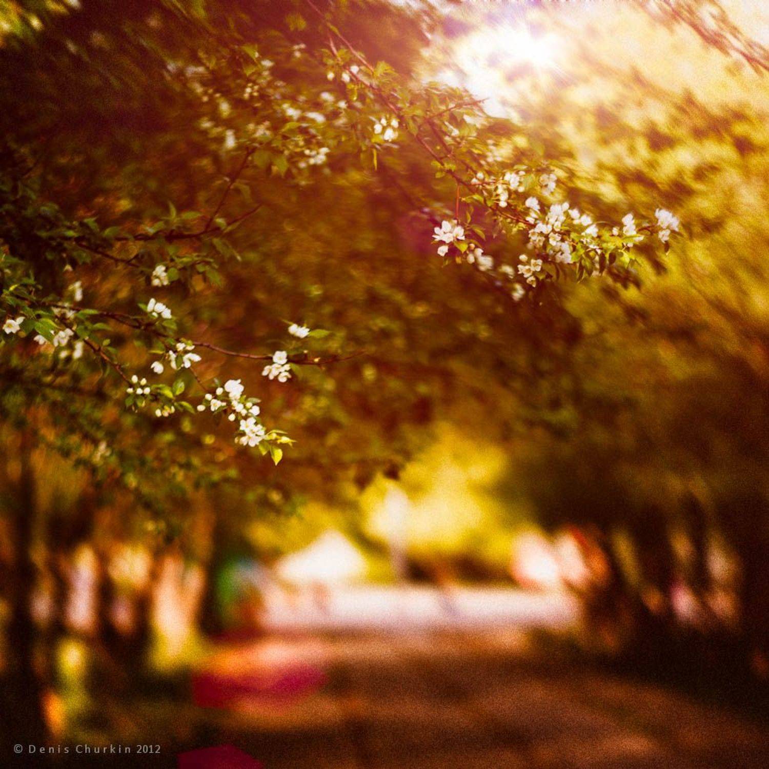 , Денис Чуркин