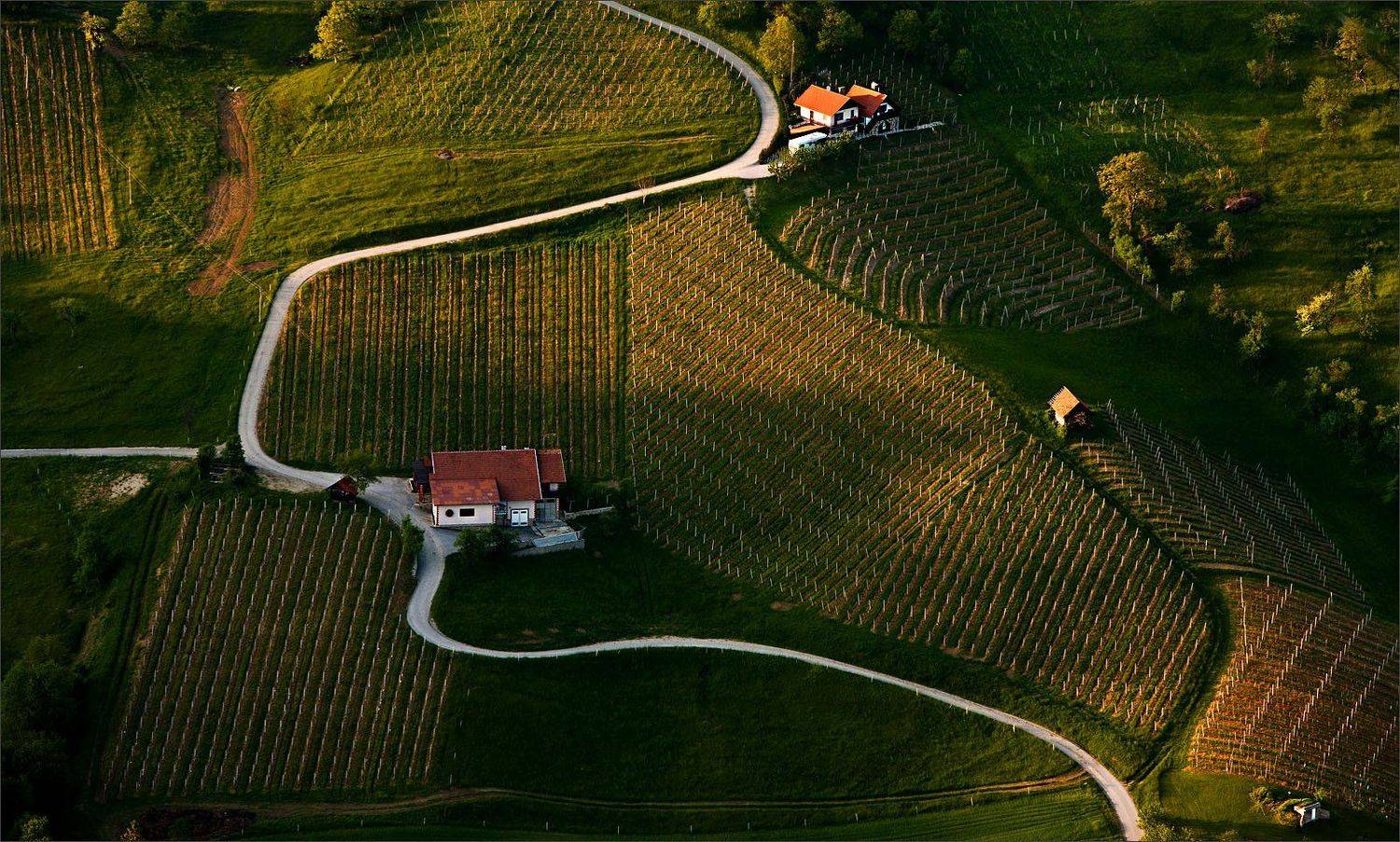 Словения, Нетушки