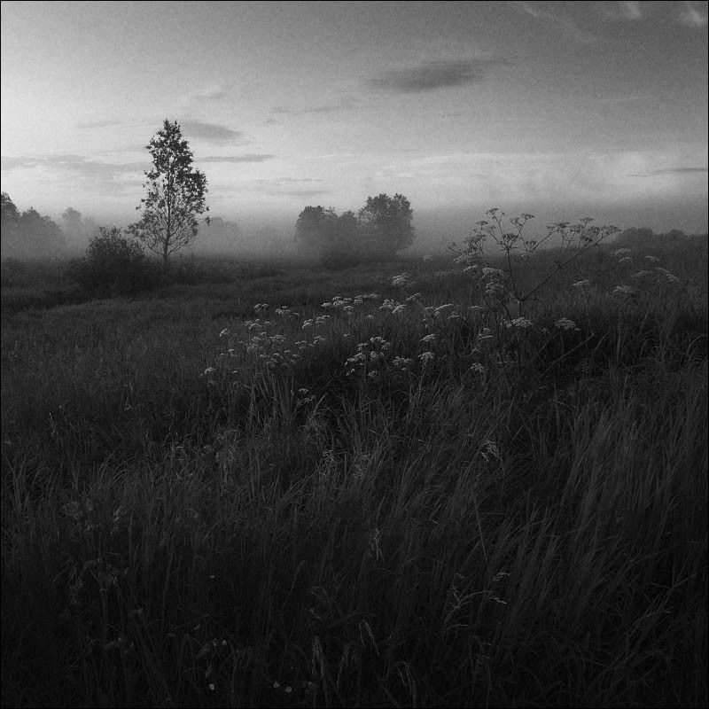 Утро туманное фото превью