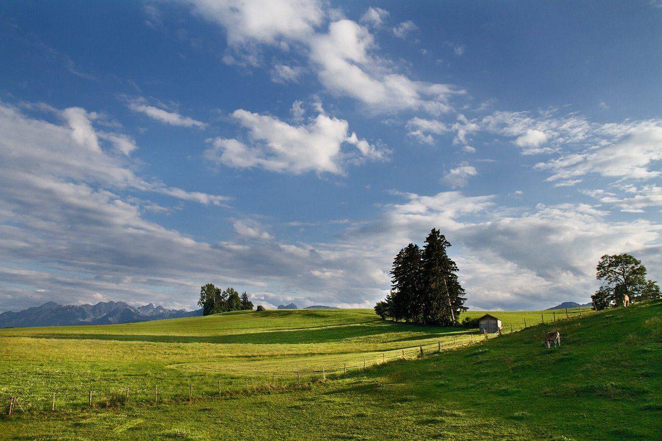 , Игорь Иванов