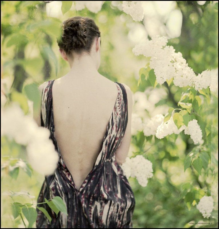 lilac фото превью