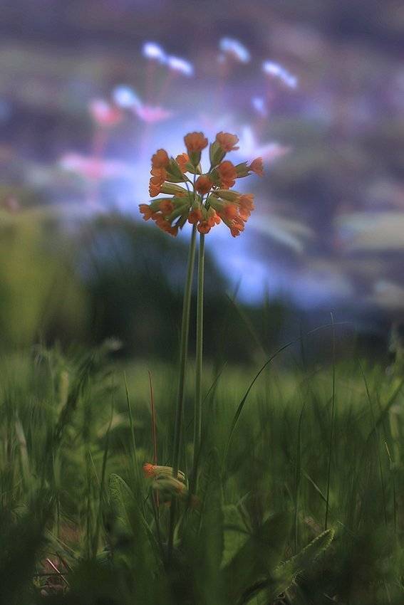 , Михаил  Пилипенко