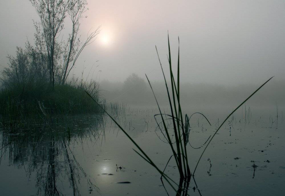 , Николай Морский