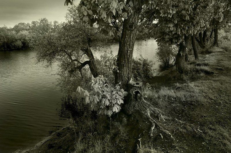 у реки.... фото превью