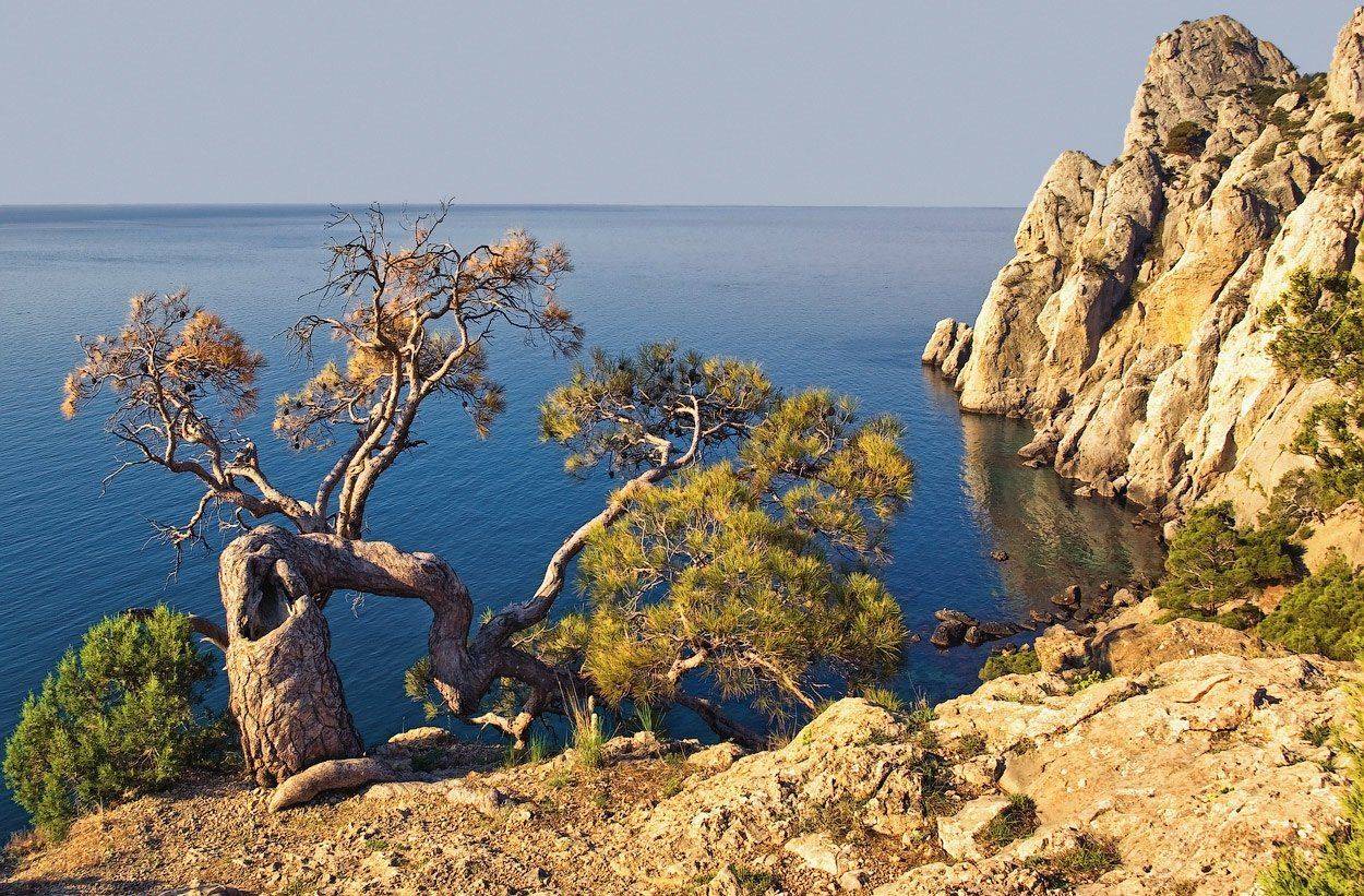 , Игорь Мелекесцев