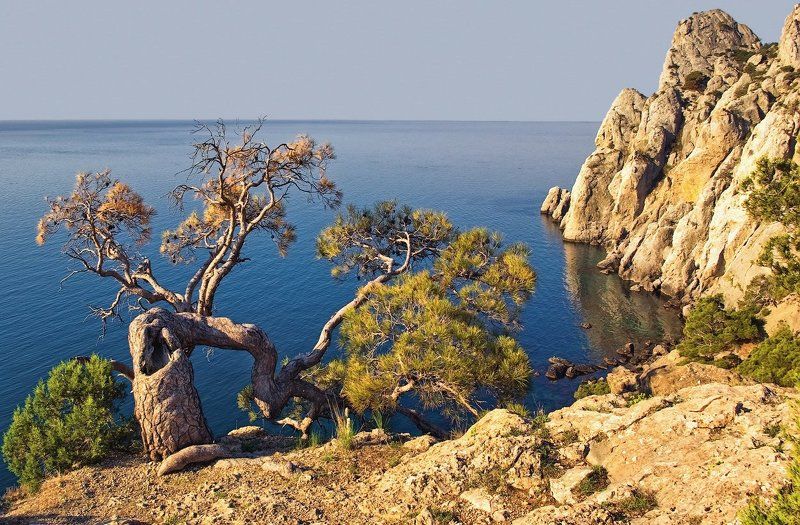 Утро у Караул-Оба фото превью