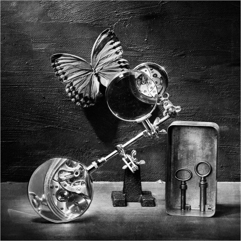 В мире бабочек и механизмов фото превью