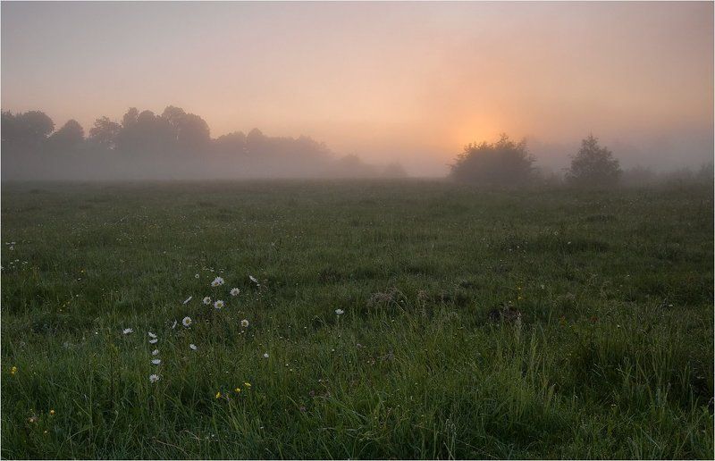 когда просыпается утро... фото превью