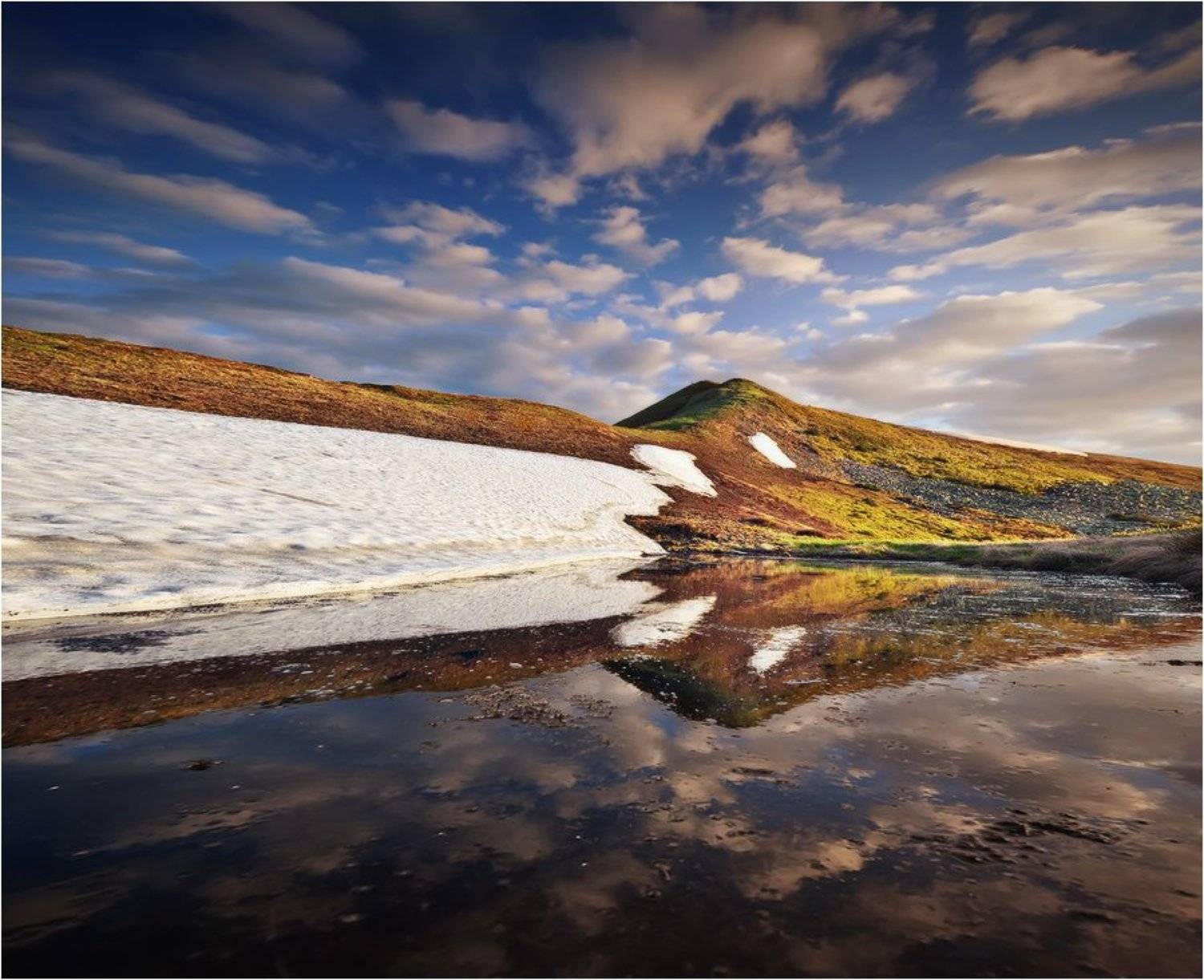 , Денис Кривой