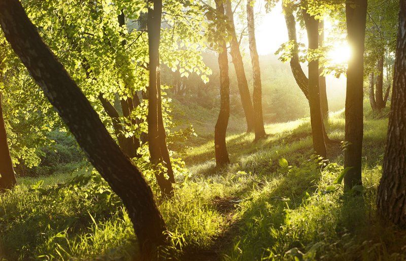 * фото превью