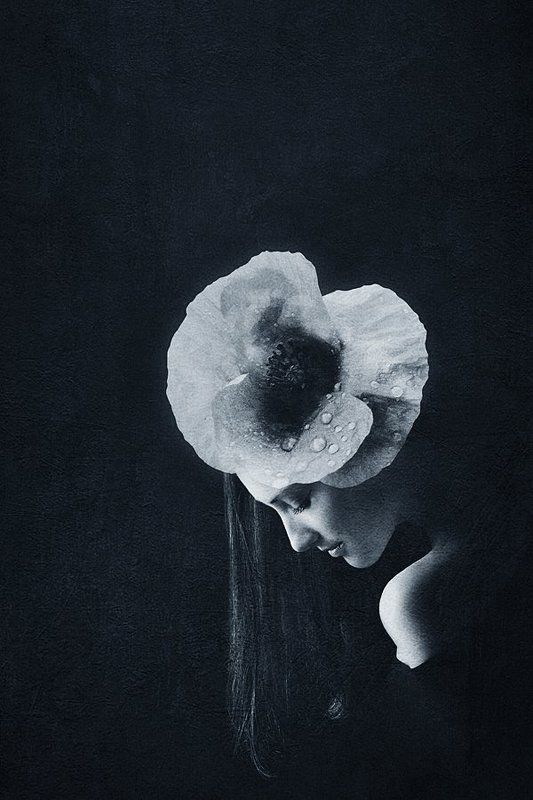 портрет,девушка *** фото превью