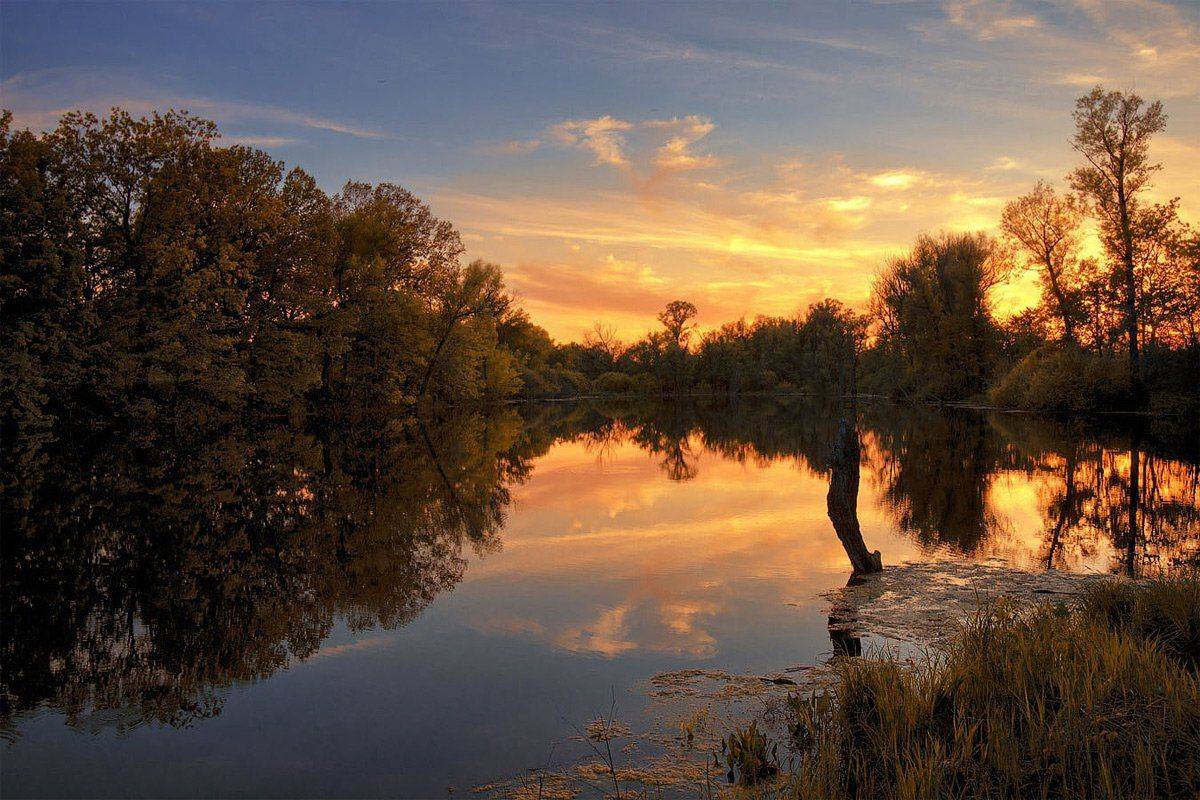, Владимир Ляпин