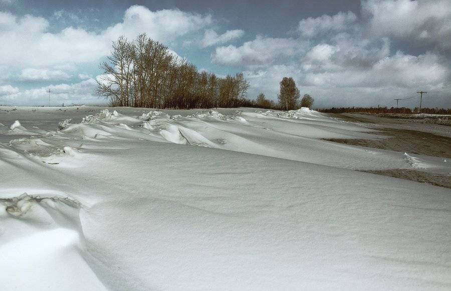 , Николай Морский