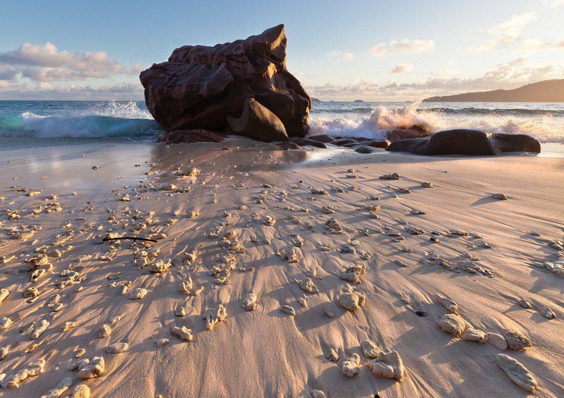 , Людмила Прокофьева