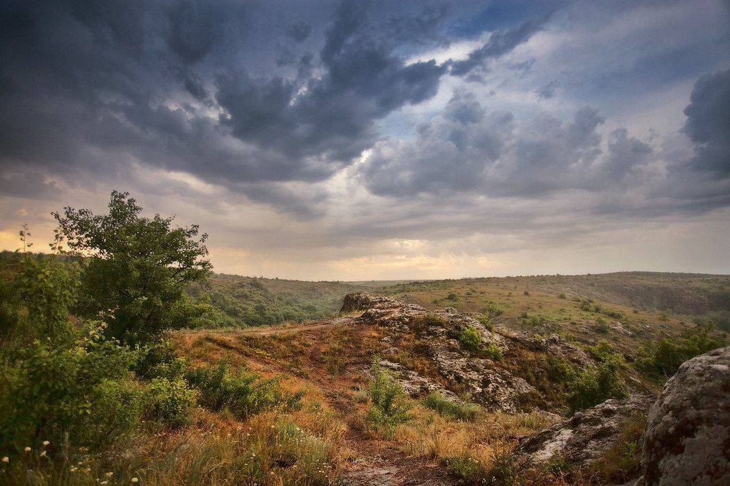 весна, май, украина, южный буг, Вейзе Максим