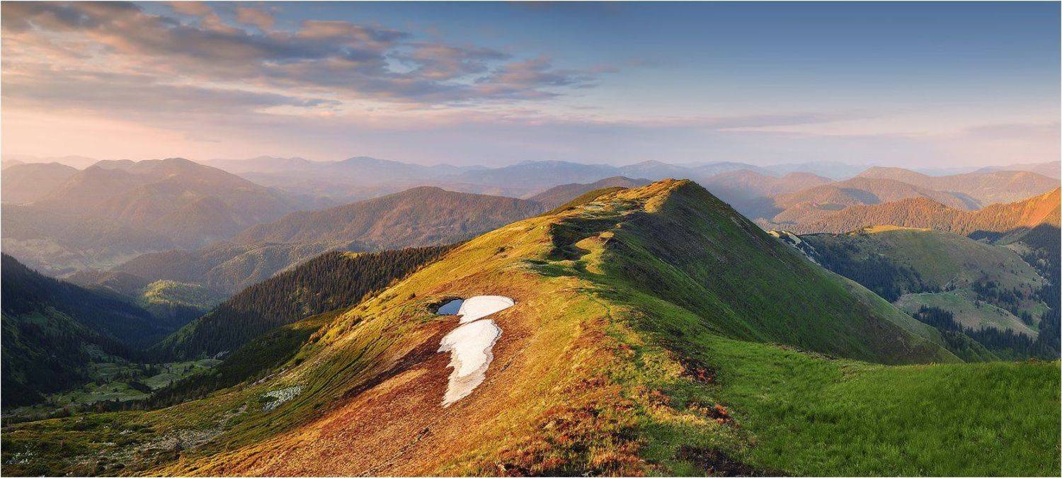 , Денис Кривой