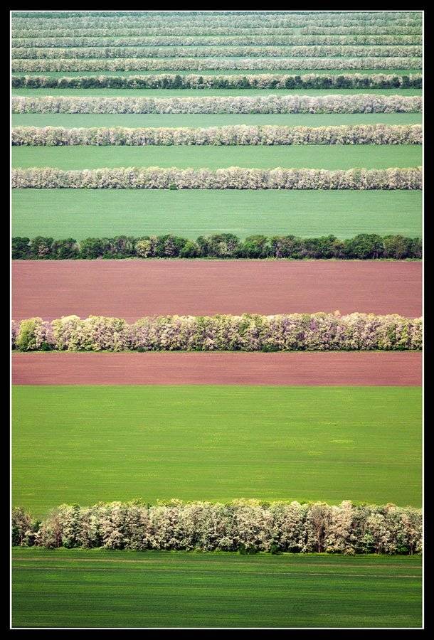 , Сидоренко Алексей