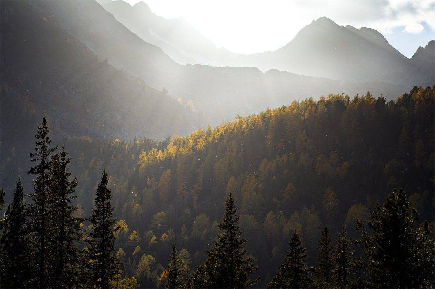 алтай, мульта, свет, горы, осень, noct