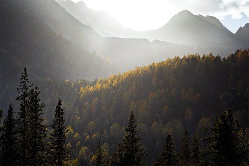 Небесный свет