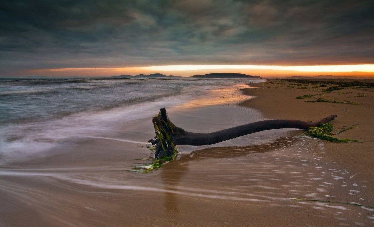 мёртвое, дерево, вечер, море, песок, волны, закат, тучи, Андрей Кровлин