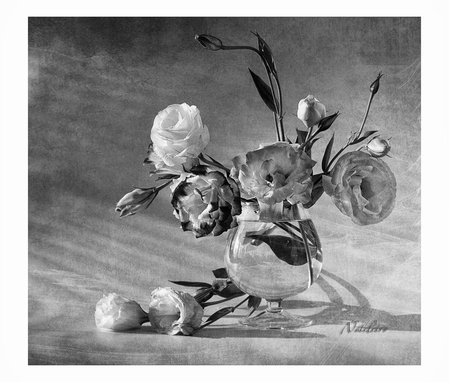 натюрморт, цветы, эустома, Наталья Кузнецова (Nateletro)