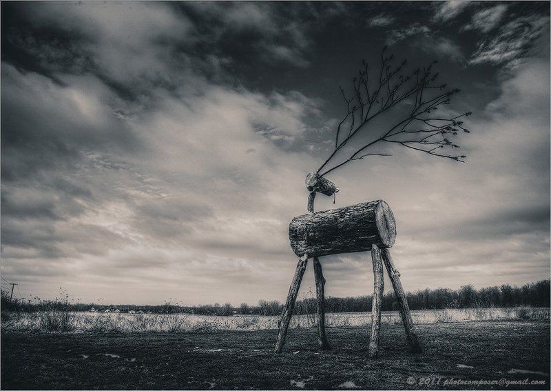 Гордый... фото превью