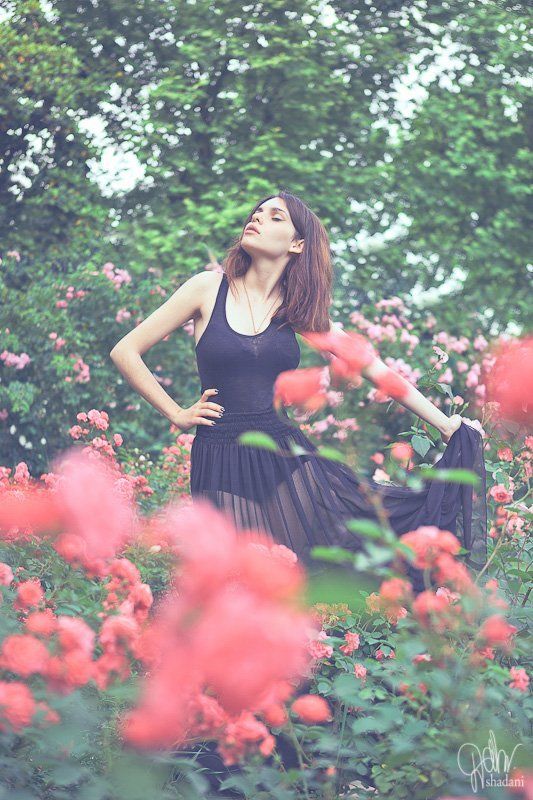 Lola фото превью