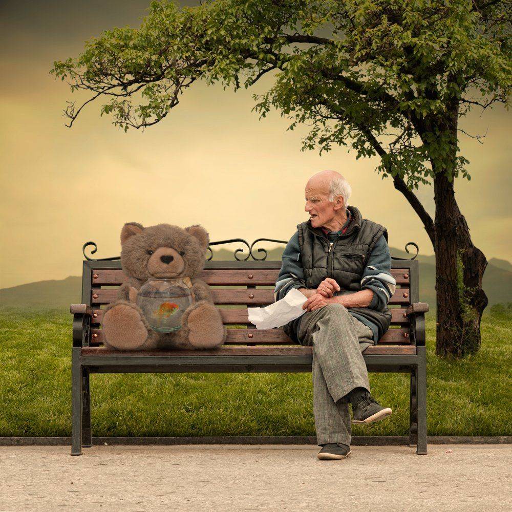 sky, old, tree, bench, grass, man, green, fish, mounting, bear, monologue, water ball, Caras Ionut
