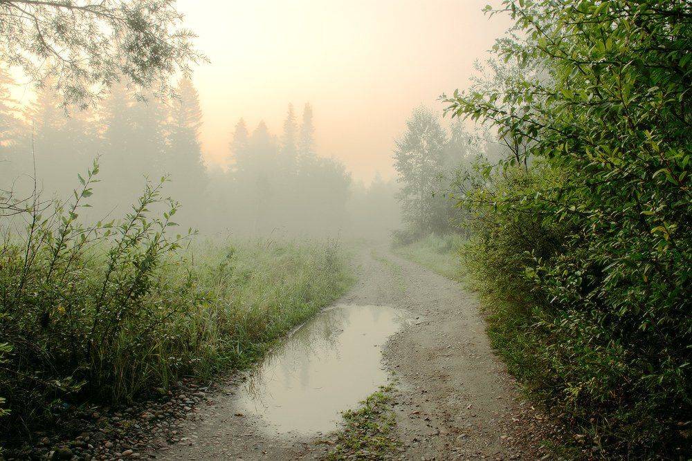 , Николай Морский